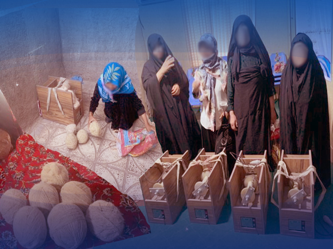 توزیع چرخ پشم ریسی